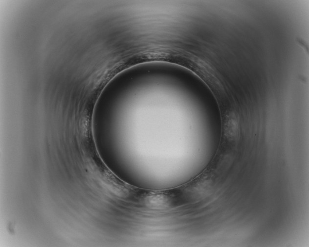 X0000099520604200805151527