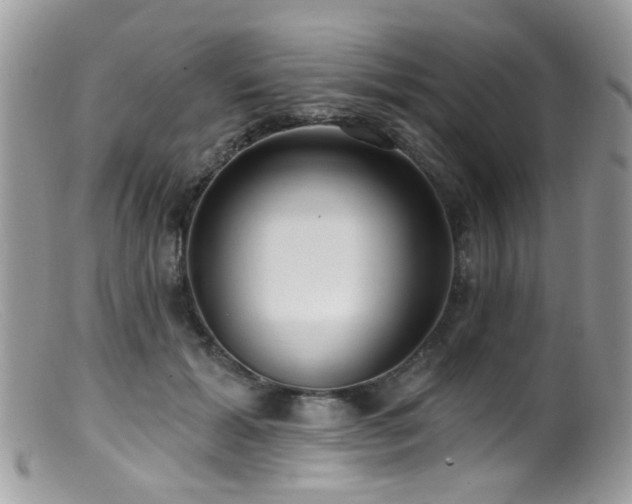 X0000099520605200805151527