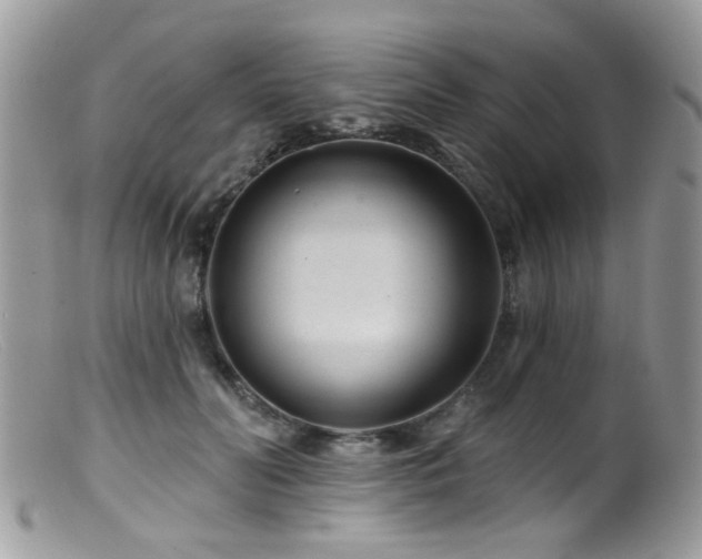 X0000099520606200805151527