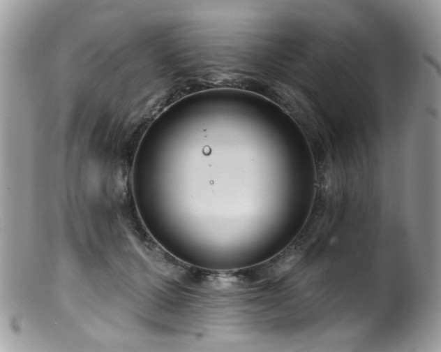 X0000099520607200805151527