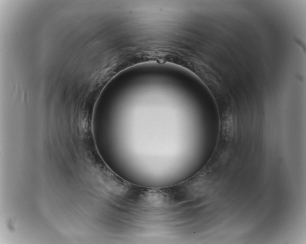 X0000099520608200805151527