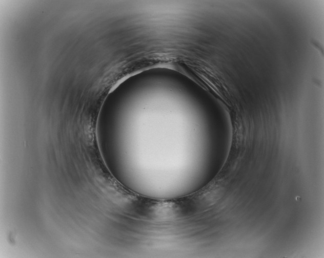 X0000099520609200805151527