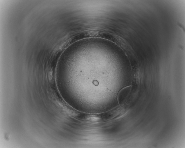 X0000099520610200805151527