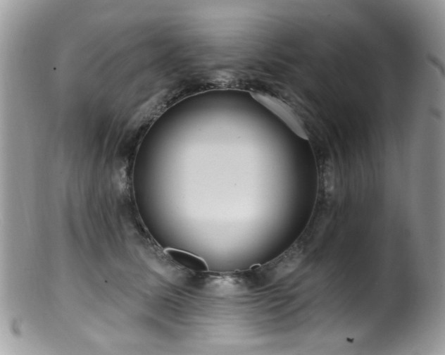 X0000099520611200805151527