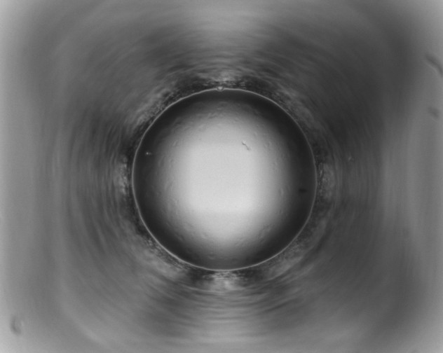 X0000099520612200805151527