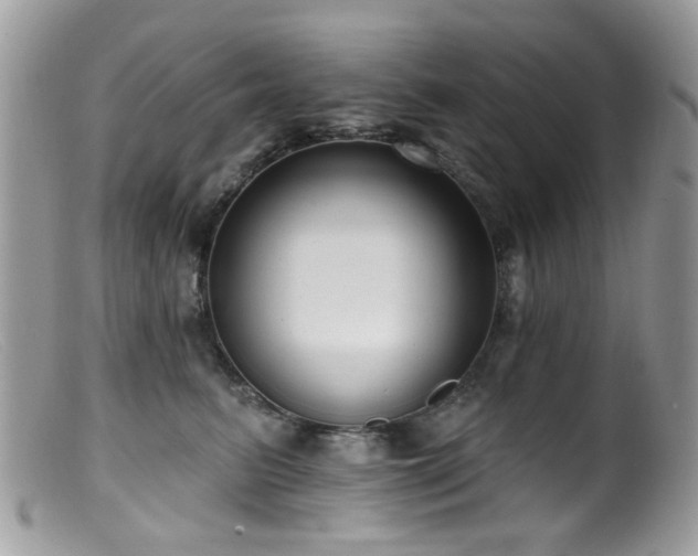 X0000099520615200805151527