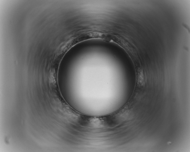 X0000099520616200805151527