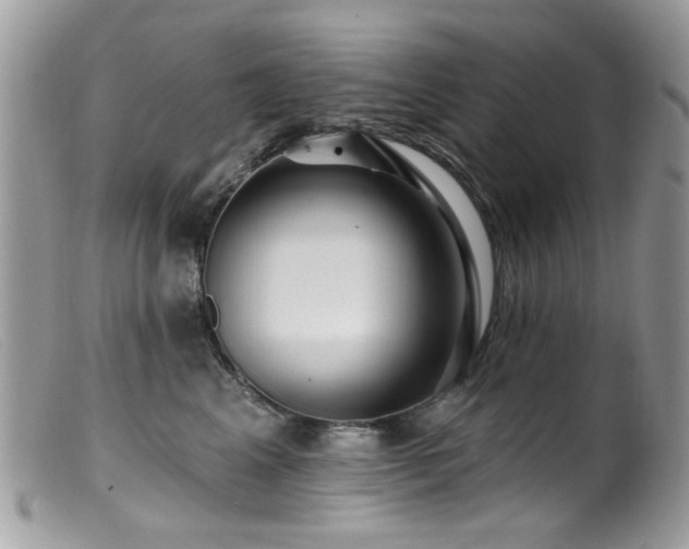 X0000099520617200805151527