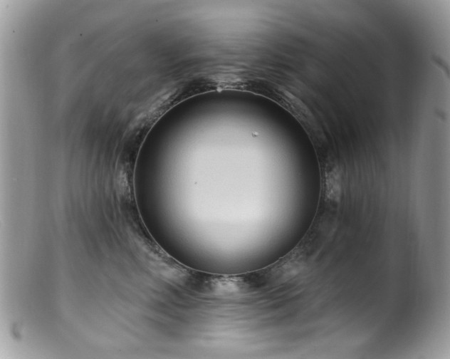 X0000099520618200805151527