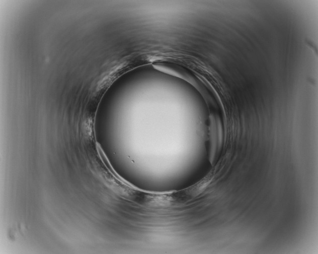 X0000099520621200805151527
