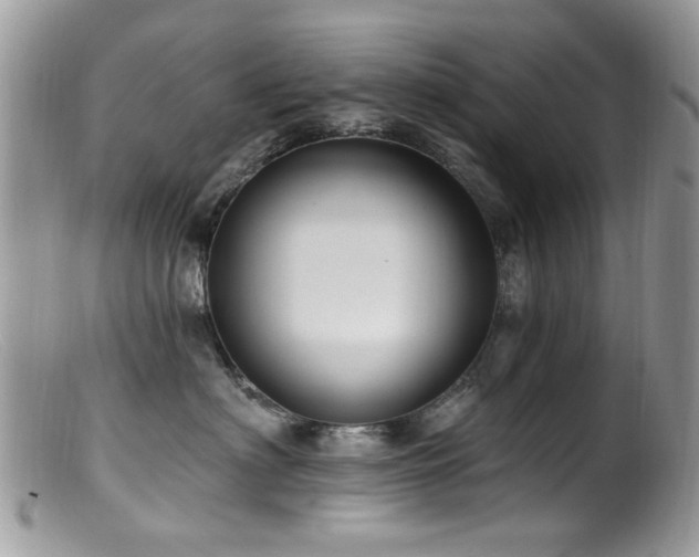X0000099520622200805151527