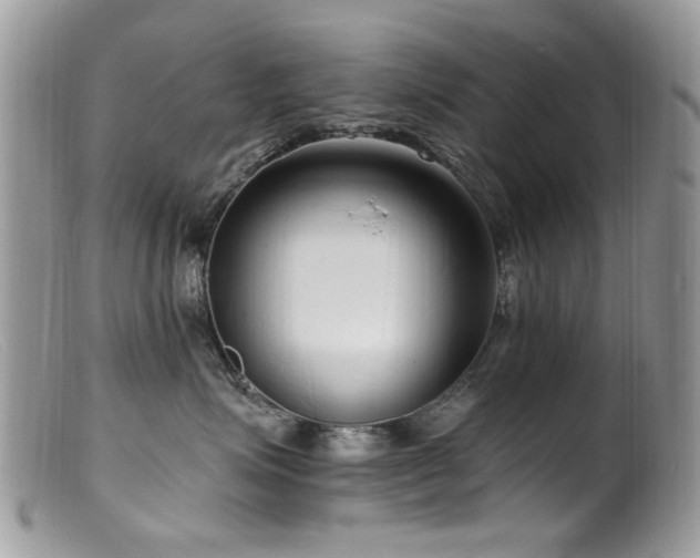 X0000099520623200805151527