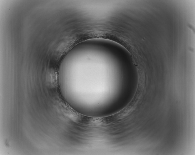X0000099520624200805151527