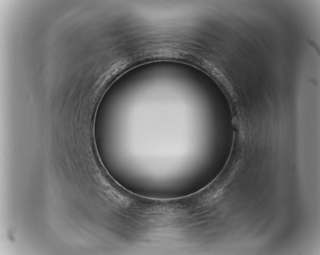 X0000099520625200805151525