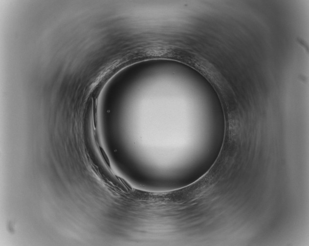 X0000099520626200805151525