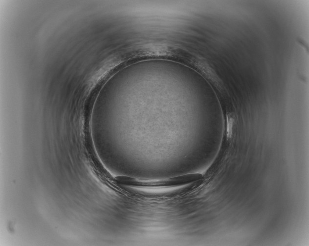 X0000099520627200805151525