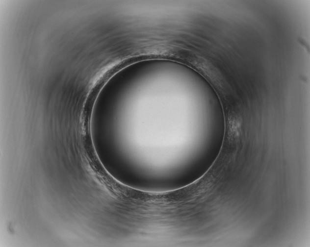 X0000099520628200805151525