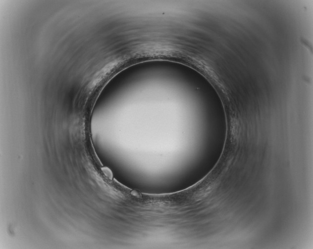 X0000099520629200805151525