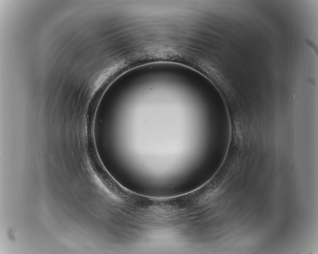 X0000099520630200805151525