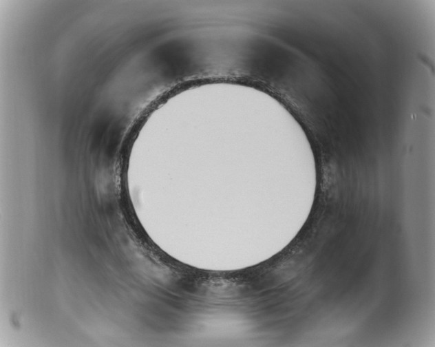 X0000099520632200805151526
