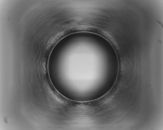 X0000099520633200805151526