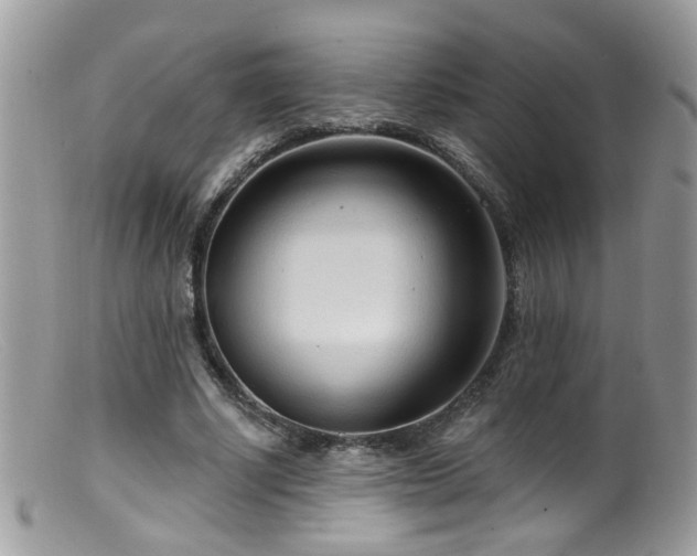 X0000099520634200805151526
