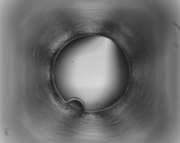 X0000099520635200805151526