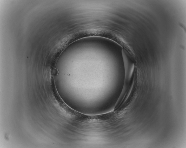 X0000099520637200805151526