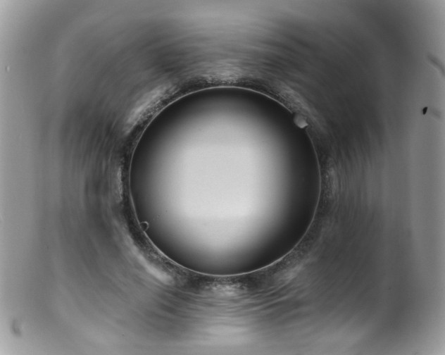 X0000099520638200805151526