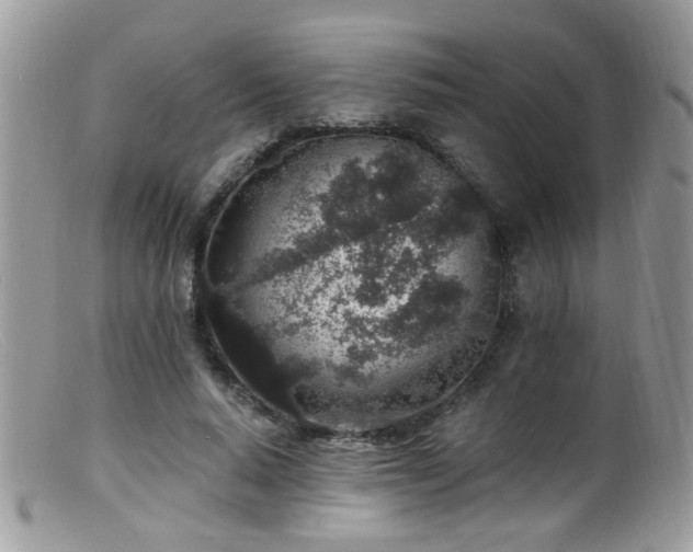 X0000099520640200805151526