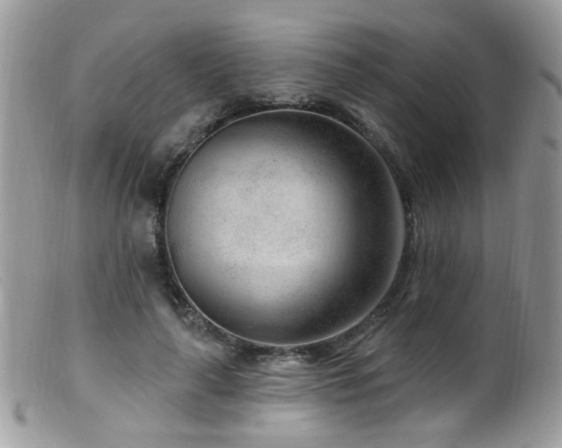 X0000099520643200805151526