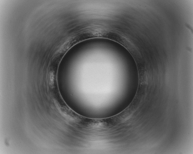 X0000099520646200805151526