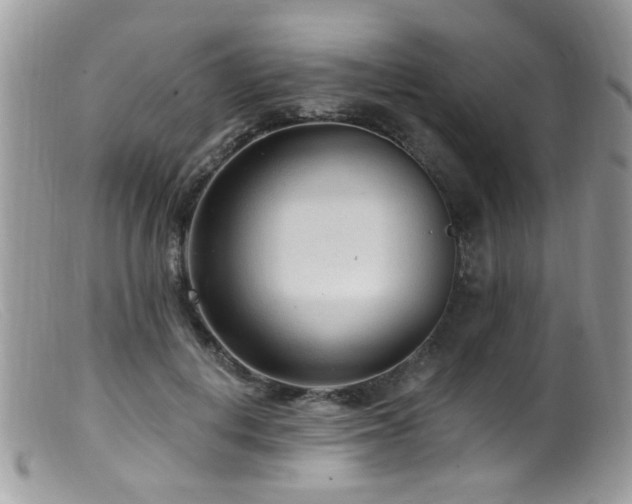 X0000099520648200805151526