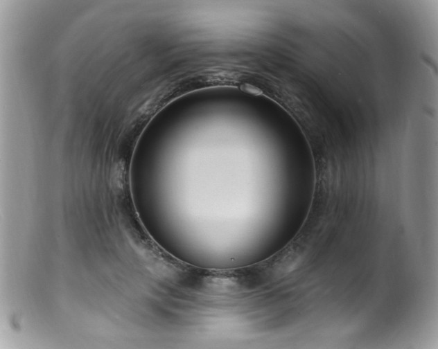 X0000099520649200805151526