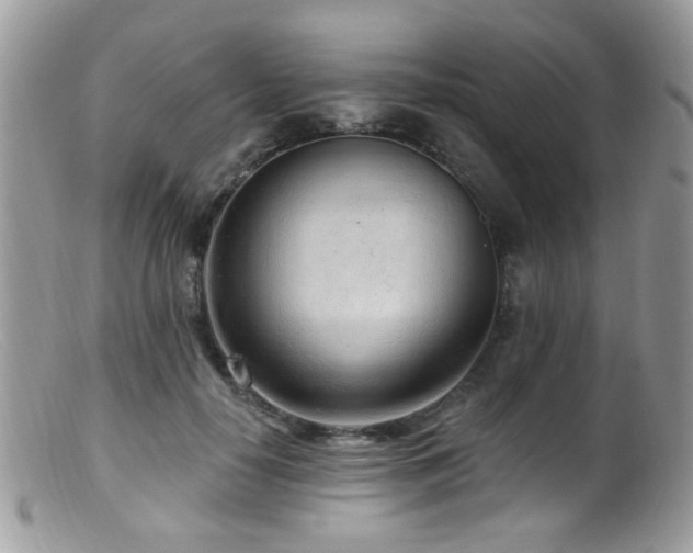 X0000099520650200805151526