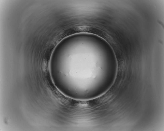 X0000099520651200805151526