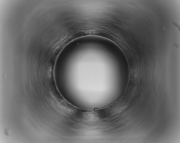 X0000099520652200805151526