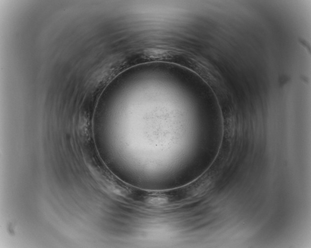 X0000099520653200805151526