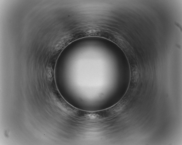 X0000099520654200805151526