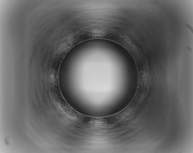 X0000099520655200805151526