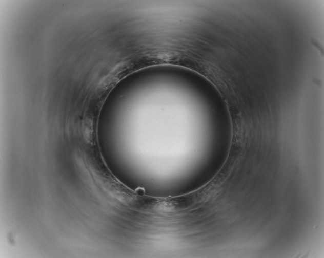 X0000099520656200805151526