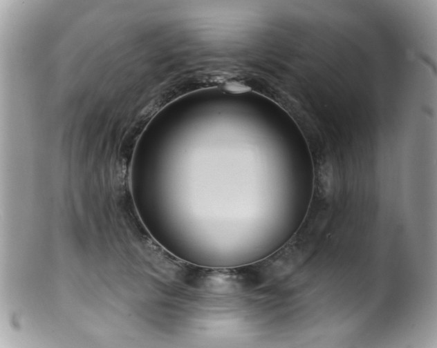 X0000099520657200805151526