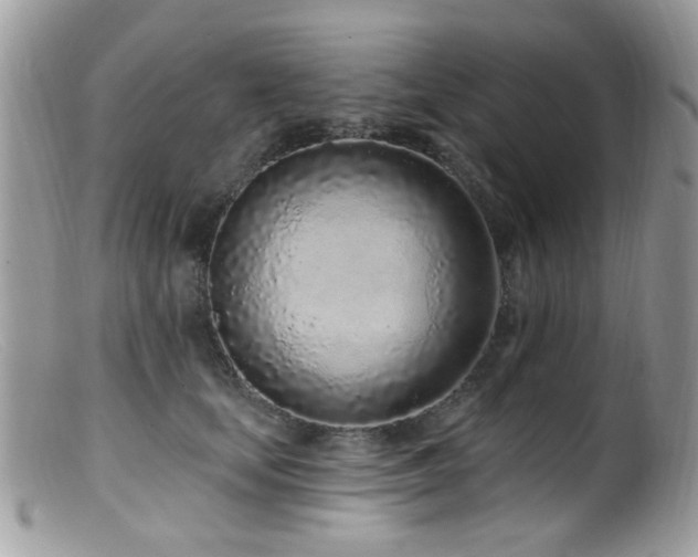 X0000099520659200805151526