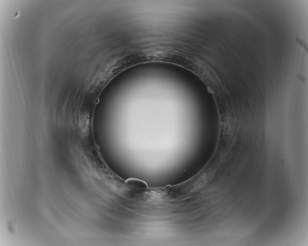 X0000099520660200805151526