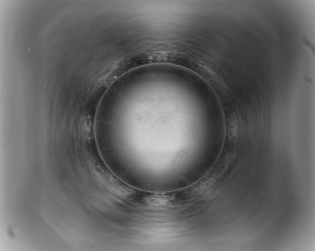 X0000099520661200805151526