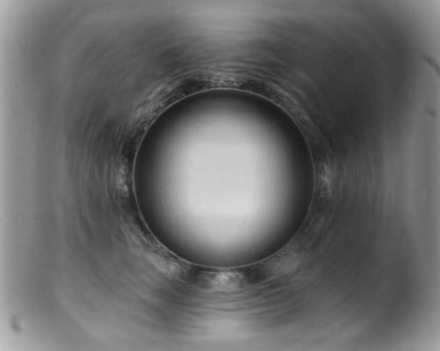 X0000099520663200805151526