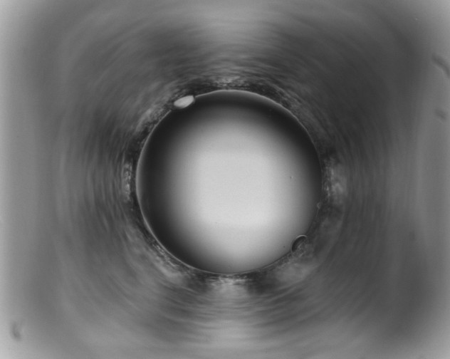 X0000099520664200805151526