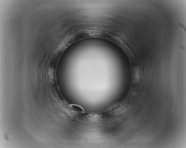 X0000099520667200805151526