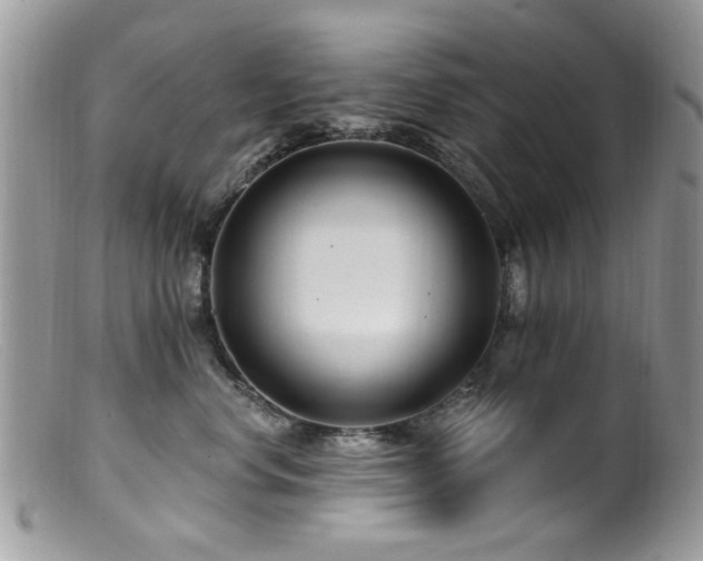 X0000099520668200805151526
