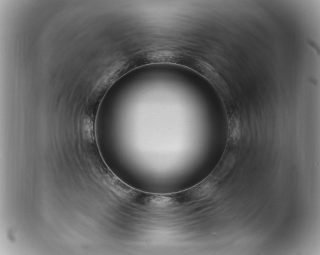 X0000099520669200805151526